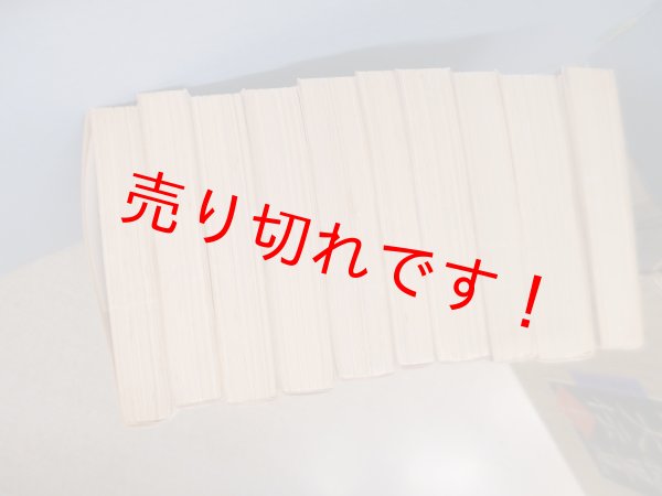 画像2: 南総里見八犬伝　全10冊揃（岩波文庫） (2)