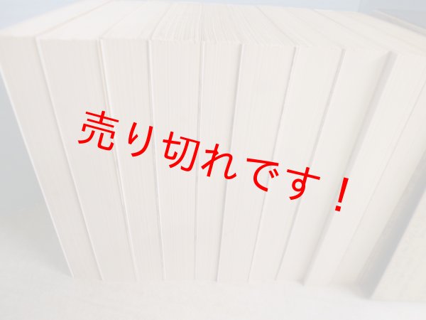画像3: 南総里見八犬伝　全10冊揃（岩波文庫） (3)