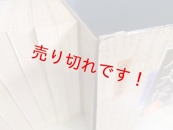 画像4: 南総里見八犬伝　全10冊揃（岩波文庫） (4)