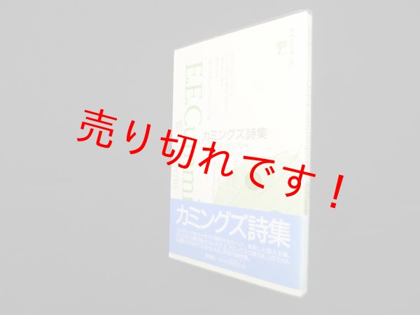 画像1: カミングズ詩集 (海外詩文庫 8)　E.E・カミングズ/藤富保男 訳編 (1)