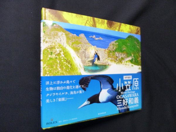 画像1: 世界遺産・小笠原　三好和義 (1)