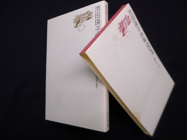 画像1: 池田瑛子詩集―思惟の稜線（北陸現代詩人シリーズ）　池田瑛子 (1)