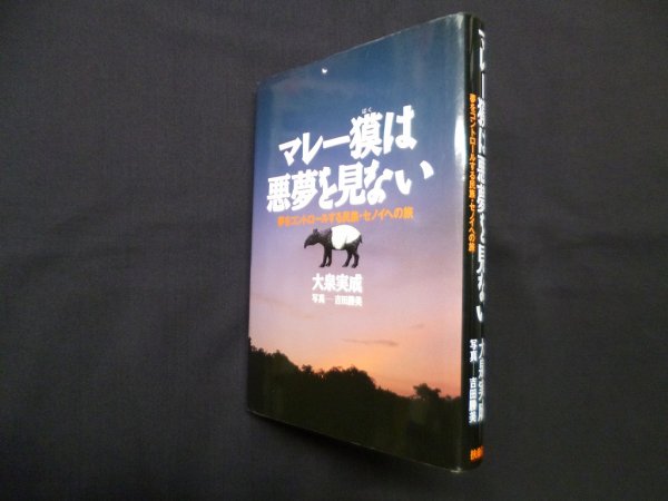 画像1: マレー獏は悪夢を見ない―夢をコントロールする民族・セノイへの旅 大泉実成/吉田勝美 写真 (1)