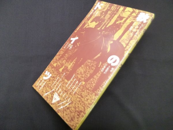 画像1: 秋のドイツ  堀越謙三 他編 (1)