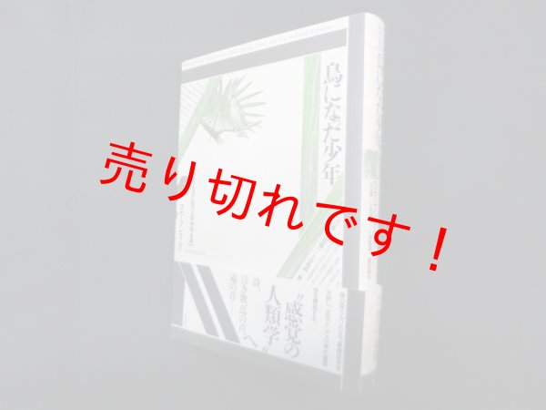 画像1: 鳥になった少年―カルリ社会における音・神話・象徴 (テオリア叢書)　スティーブン・フェルド/山口修 他訳 (1)