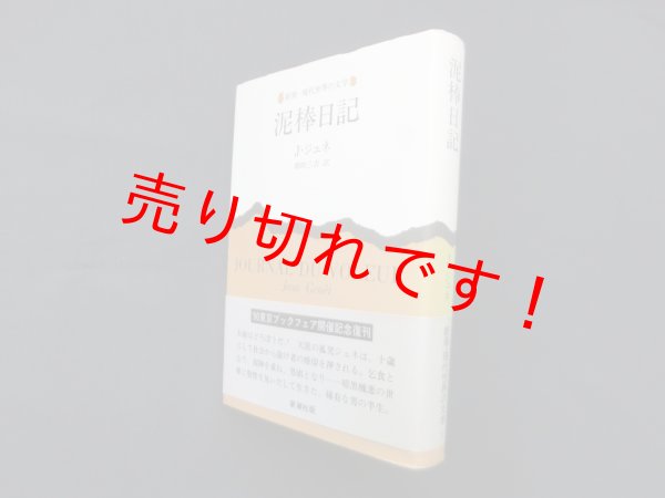 画像1: 泥棒日記　改訳版 (新潮・現代世界の文学)　ジャン・ジュネ/朝吹三吉 訳 (1)