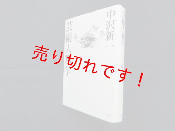 画像1: 芸術人類学　中沢新一 (1)