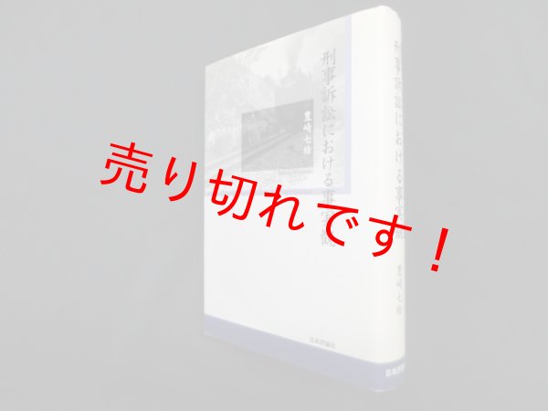 画像1: 刑事訴訟における事実観　豊崎七絵 (1)