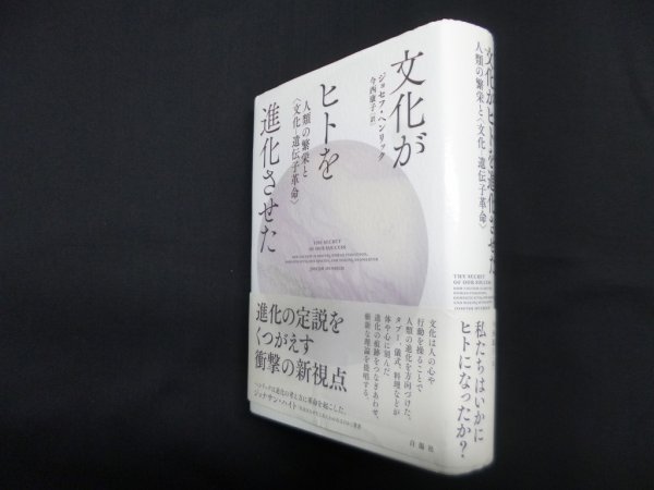 画像1: 文化がヒトを進化させた―人類の繁栄と〈文化-遺伝子革命〉　ジョセフ・ヘンリック/今西康子 訳 (1)