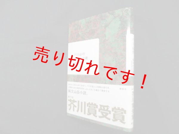 画像1: バリ山行　松永K三蔵 (1)