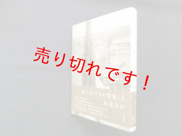 画像1: ノートルダム　フランスの魂　アニエス・ポワリエ/木下哲夫 訳 (1)