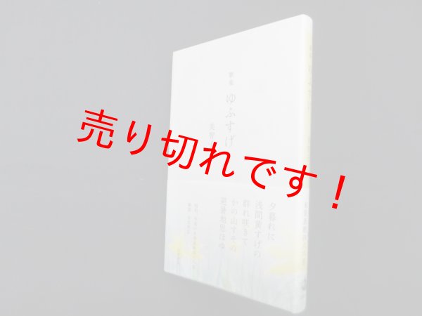 画像1: 歌集　ゆふすげ　美智子/永田和宏 解説 (1)