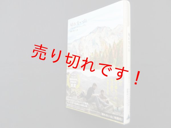 画像1: 帰れない山　パオロ・コニェッティ/関口英子 訳 (1)
