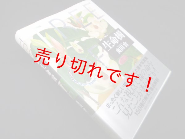 画像1: 生命樹―TREE OF LIFE　奥田實 (1)