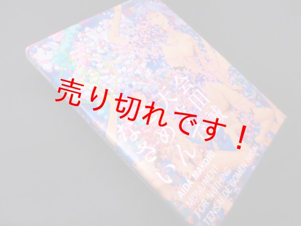 画像1: 会田誠 天才でごめんなさい（展覧会公式図録兼書籍）　会田誠 /森美術館 編 (1)